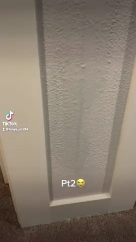 #fyp #PringlesCanHands pt2 😭