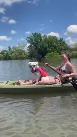 Layla living her best life #cutedogs #dogsinglasses #kayaking #funnydogs #boxerdog #whiteboxer