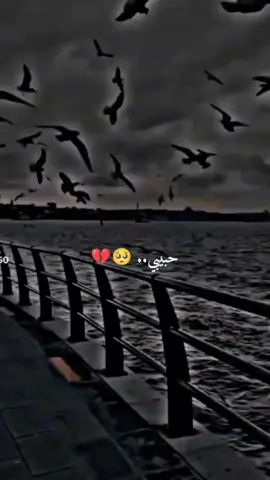 حط الفيديو دا استوري لشخص زعلان منك ولو مصلحكش هبطل تيك توك 🙂💔 منشن لحبيبك الي زعلان منك 💔😔#بطوط_مصر #fypシ،،