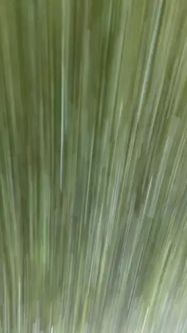 #fyp #foryou #foryoupage