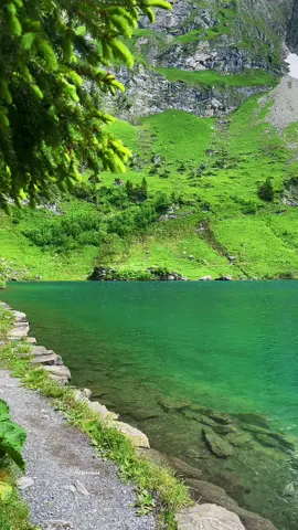 #swissalps 🇨🇭#swissmountains #switzerlandnature #swissviews #beautifuldestinations #switzerlandtravel #travelworld #swissparadise✨ #sisiswiss #swissbeautiful #naturevibes #nature