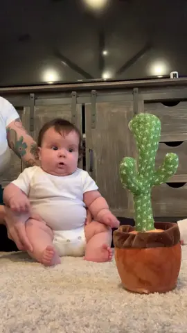 Her first reaction to the cactus #talkingcactus🌵 #babycactus #babyvscactus #singingcactustoy #cactustoy #chunkybaby #gerberbaby #gerberphotosearch2022 #gerber #momtok #babytok #babytiktok👶🏻 #babyfever