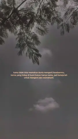 #memaksa #dunia #mengerti #keadaan #belajarlah #mengerti #memahami #selfreminder  #quoteoftheday #aesthetic #nurafifahks #andaiakubisa #tulus #rangkaikata  #NgabuburitGaya #WouldYouLoveYou