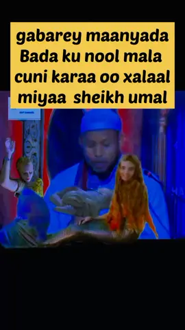 #somalitiktok #follow #taabta #Ibnufadhli