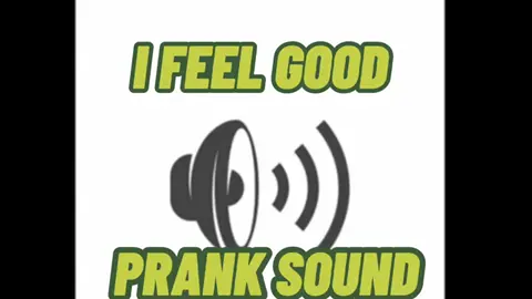 I FEEL GOOD PRANK SOUND🤣🤣SO GOOD!