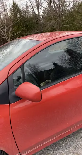 🤕🤕🤕 #puppy #fail