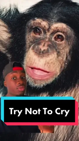 Don’t worry, you’re not crying, you’re just sweating from your eyes #truestory#wholesome#tiktok