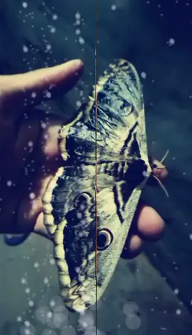 #وصلوني_10الااف_لاايك #اكسبلور #لاايك ♥️😉