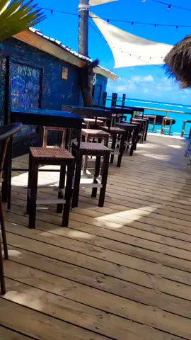 #elcortecito #puntacana #onno
