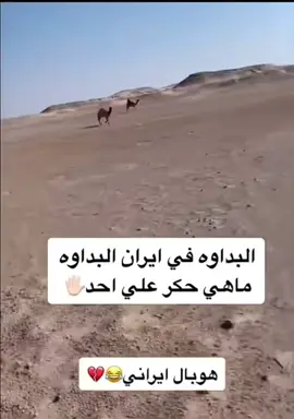 #الابل #عطايا_الله🐪 #حلاوة_اللقاء