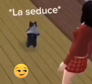 XD #aroundtheworld #meme #viral #gato #xd