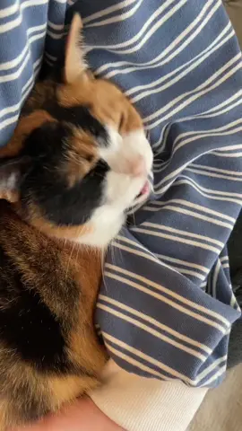 洗い物ダメ！