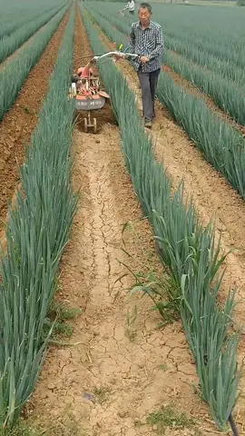 #learnwithtiktok #machine #agriculture #worklife #farmer