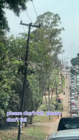 Part 2 from makeup and monkeys. This is the longer version of the video. I kept thinking they are gonna fall! #kenyaadventures #monkeyshow #runninglate