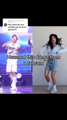 Reply to @quokka_crunch  i usually learn from fancams and then mirror them! then i put it at .75 speed for details! for this dance i used our ace han as an example hehe #han #theview #kpopdance #kpopcover @Stray Kids