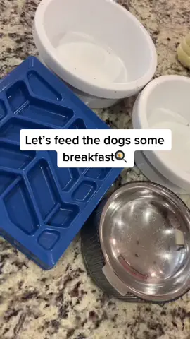 Breakfast time for the pack🍳🐾 #fyp #dogfoodrecipe #foryou #viral #dogfeeding