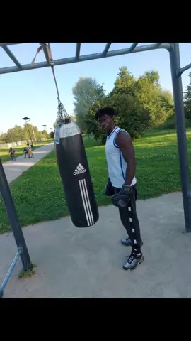 🦍🦍🥊