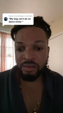 Reply to @marshallqwx #Totinos425 the dog is perfectly fine #dogs #doggy #skinwalkers