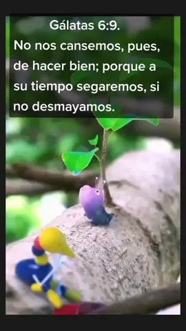 Gálatas 6:9No nos cansemos, pues, de hacer bien; porque a su tiempo segaremos, si no desmayamos.#Dios #motivacion #fyp #viral #jesus #jovenescristianos #hagamosviralajesus #jovencristiana #esporamor #projimo