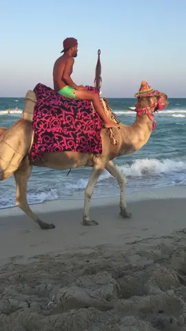 @tunis @djerba