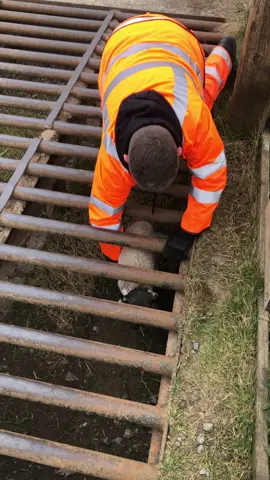 Just doing what any good person would when we seen a lamb had fell #hero#rescueanimals #gooddeedoftheday