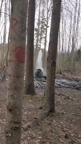 #гейзер #фонтан #лес