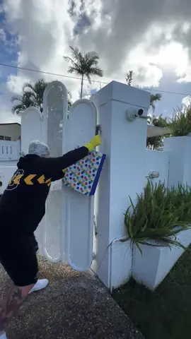 This could not have gone any worse #wasp #waspnest