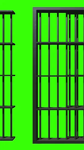 #jailtiktok #CapCut #greenscreen #foryou #fy #overlay #freegreenscreen #edits #free #greenscreenbits #videoedit #videoviral #vfxchallenge #vfx