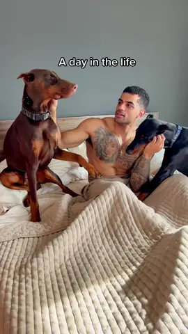 Some life updates: Got a new 🐶, moved to a new house, and found a new deodorant - partnering with @Raw Sugar Living at @target #dailyvlog #maketheswitch #rawsugarmademebuyit #rawclean