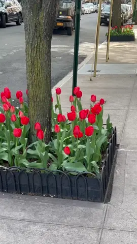 bye winter u were cool #fyp