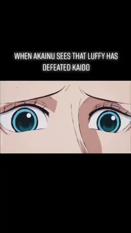 #sakazukiakainu #kaido #luffyonepiece #onepiece #robin #bigmom #fypp #foryouu #viraltiktok #animetiktok #memehub #onepieceanime