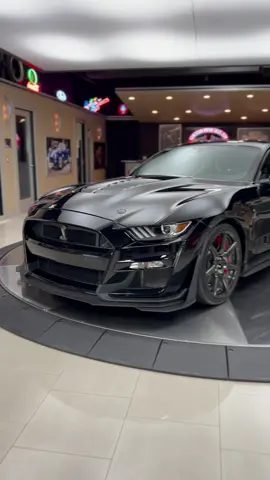 New Arrival - 2021 Ford Mustang Shelby GT500 Carbon Fiber Track Pack