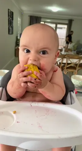 Just enjoying some corn #baby #babyeating #eatingcorn #funnyeating