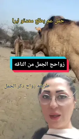 #duet with @hsny707 #samahair2 #حركات من الجمل للناقه للممارسه معها#foryou #viralvideo #foryourpage