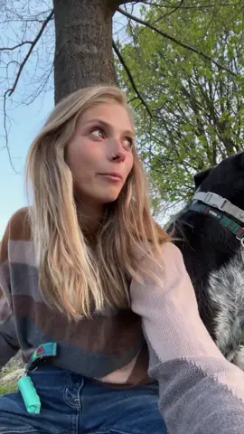 i live for moments like tonight 🤍 #vanlife #travel #adventure #parks #Outdoors #dog #Vlog #relaxing #calming