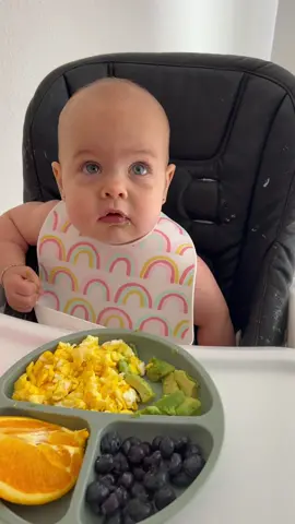 No avocados left behind 🥑 #blw #breakfast #babytok #babiesoftiktok #momtok #MomsofTikTok