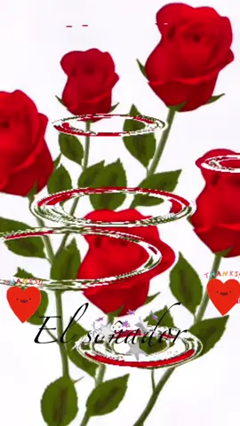 #tunuevo🌎defrase♥️🌹💘fypシ゚vir #paratiii #feliztarde #💕💕 #