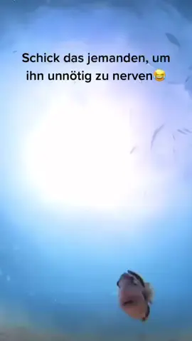 #funnyvideos #fy #viral #pet #foryoupage #fypシ