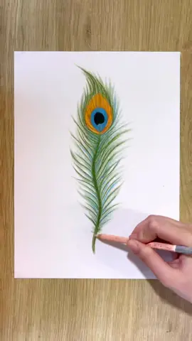Easy way to draw a peacock feather 🪶