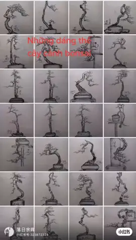 Những mẫu dáng thế cây cảnh bonsai đẹp #MenuQuanCafe #YeuBangMat #bonsai #TikTokMaster2021 #LearnOnTikTok #GameHayMoiNgay #SEAGames31 #VietNamToiYeu #cay  #TheThaoMoiNgay #RoadToSEAGames #HelloQuangNam #VuTruNangDongMILO #GioTheThao #GioTheThao #câygiống #câyphongthuỷ #6ngay6dem #ThaNguoiDungHua #StreetDanceVietNam #LeHoiAoDaiTPHCM2022 #cay