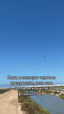 Поки я записую тренуання, десь над головою кружляє фламінго🫶🏼🦩
