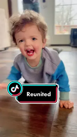 Not sure if he thinks he’s a toddler or a dog but either way, I MISSED HIM. ❤️