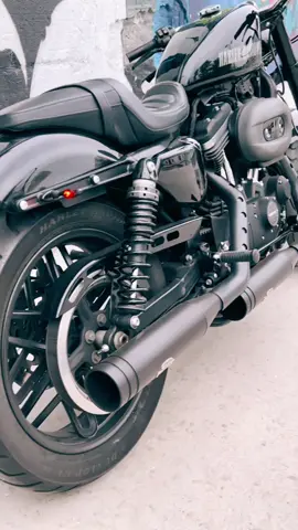 #rider on top of the #world #harleydavidson #sportster #fortyeight #roadster #freedom #soundcheck #jeckyllandhyde #rideordie #motorcycle #motorcu #harley1200xl #harleylifestyle #bobber #chopper #custombike #bikelife #freedom