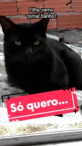 Eu que mando! 🤨 #humor #gato #gatos #gatostiktok #gatopreto #vaiprofy #vaiprofycaramba #viraliza #viralizame #comédia #dublagem #bebe #vibess #pets #PetsOfTikTok #petlover #pet #catsoftiktok #brasil #saopaulo