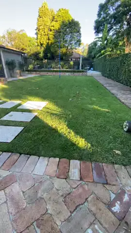Just a little bit off the top #fyp #satisfying #sydney #topiary #lawns #grass #lawntok #lawnszn #lawntiktok