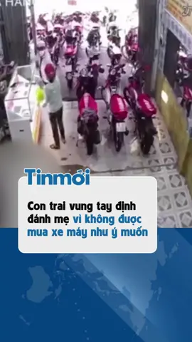 Cha mẹ nuôi con biển hồ lai láng/Con nuôi cha mẹ tính tháng kể ngày #tinmoi #tiktoknews