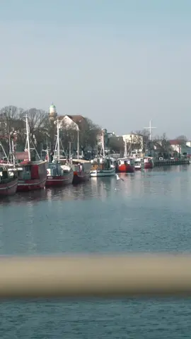 mornings hit different 🌅 #fyp #northgermany #rostock #mecklenburgvorpommern #wesanderson