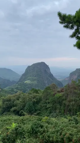 วิวโปรดของฉัน #ผาหมีแม่สาย #ดอยผาหมี