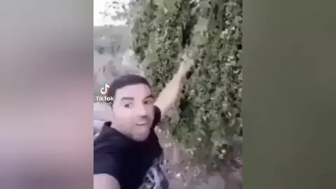 شفي اومك صديق في طيح