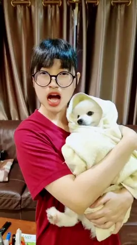 ลูกงงเลย 5555 #ฉันต้องกลายเป็นหม้าย #ลูกฉันไม่มีพ่อ #รับคําขอโทษเป็นเงินสดเท่านั้น #tarnsoftwhip #ปอม #ปอมเมอเรเนียน